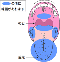 味覚障害 ひまわり薬局 北海道保健企画