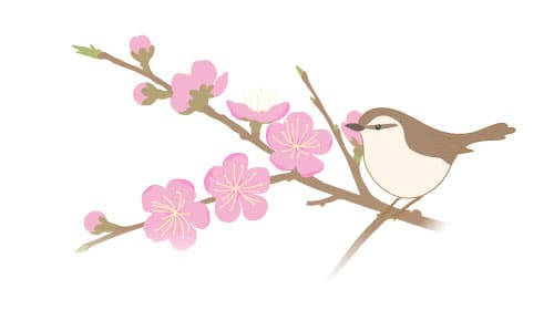 梅とうぐいす