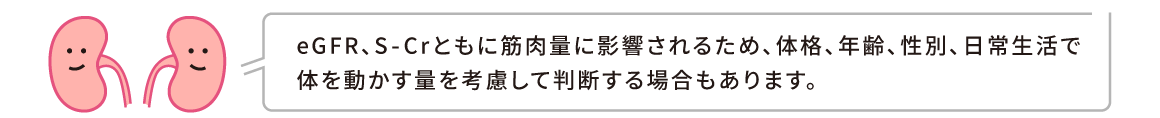eGFR、S-Crともに筋肉量に影響されるため、体格、年齢、性別、日常生活で体を動かす量を考慮して判断する場合もあります。